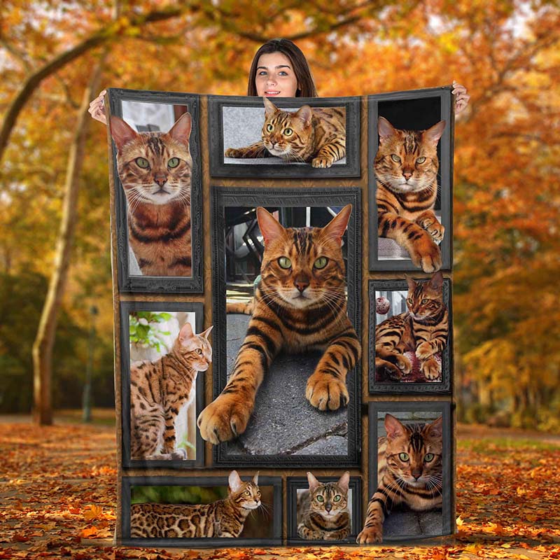 Cat Cute Bengal-TT0712