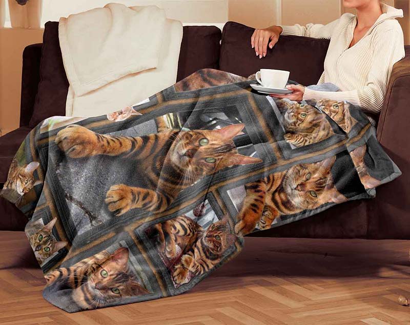 Cat Cute Bengal-TT0712