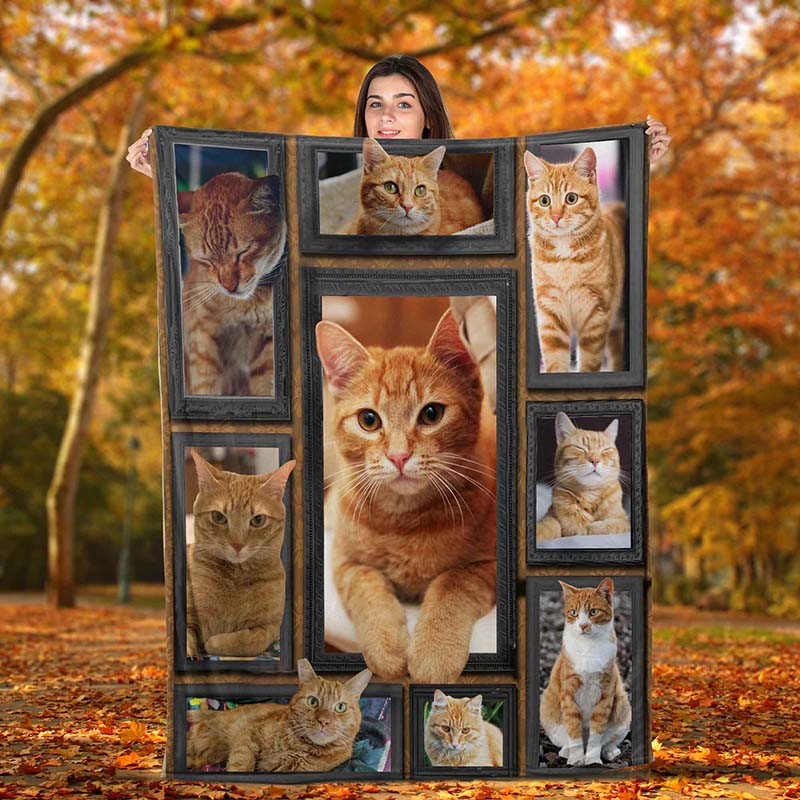 Cat Cute Orange Tabby-TT0712