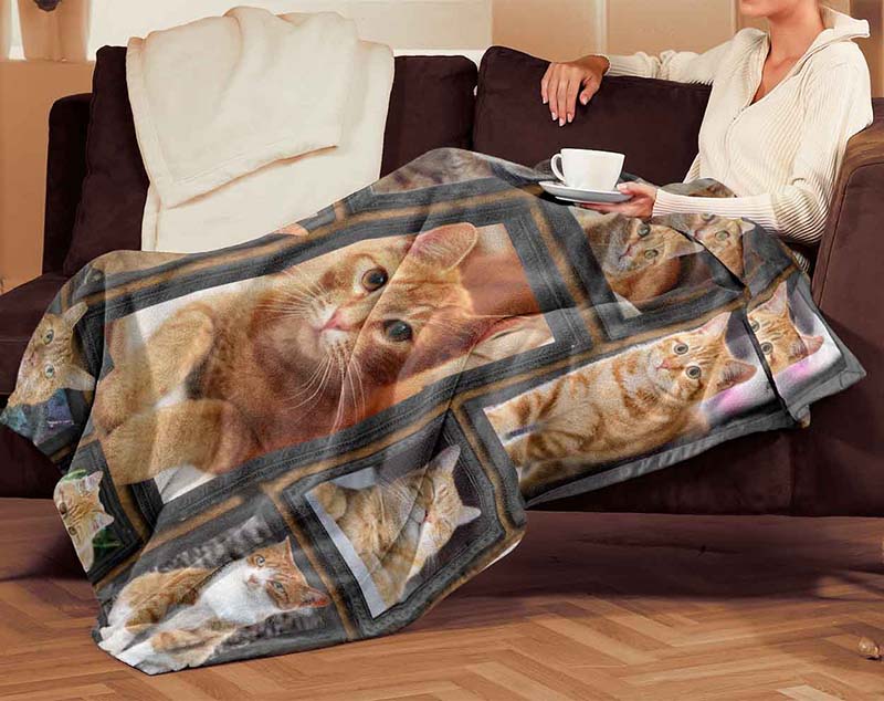 Cat Cute Orange Tabby-TT0712