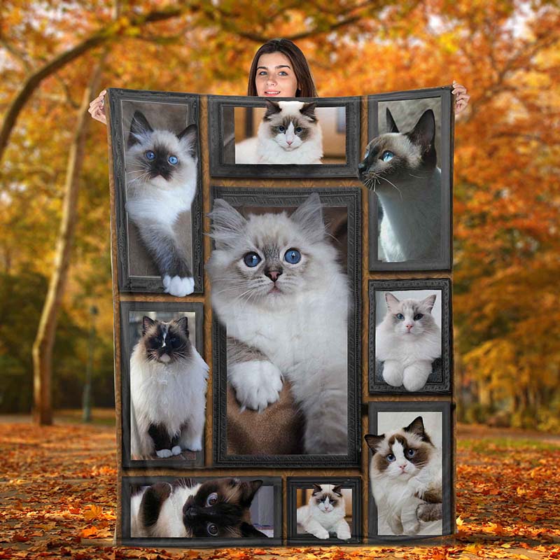 Cat Cute Ragdoll-TT0712