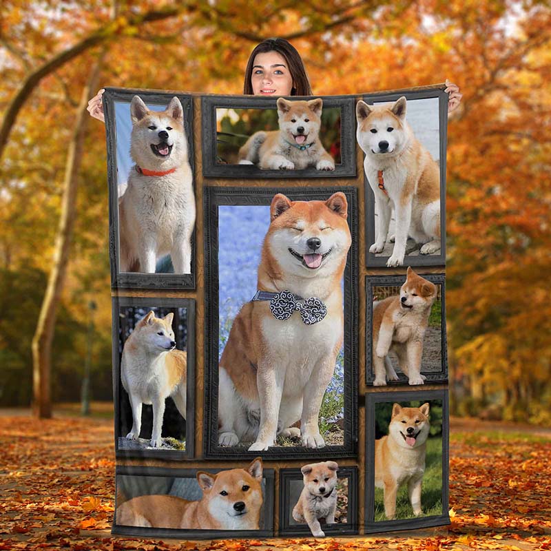 Dog Cute Akita-TT2511