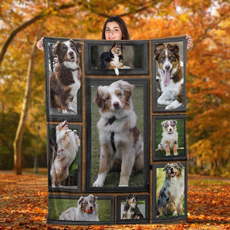 Dog Cute Australian Shepherds-TT2511