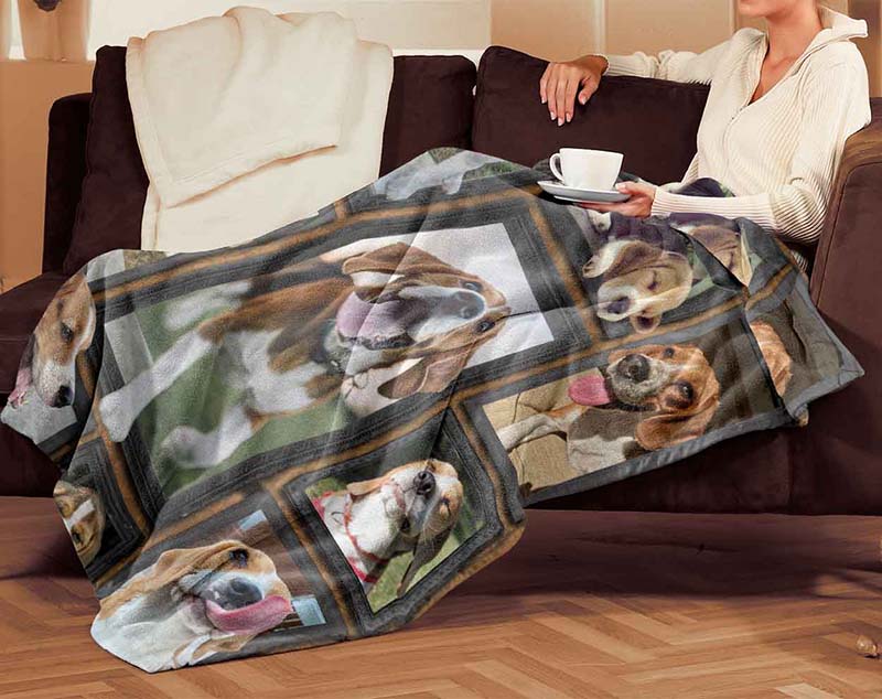 Dog Cute Beagle-TT2511