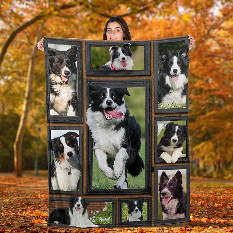 Dog Cute Border Collie-TT2511