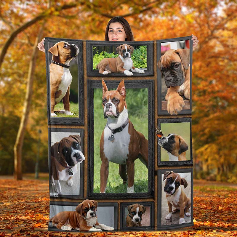 Dog Cute Boxer-TT2511