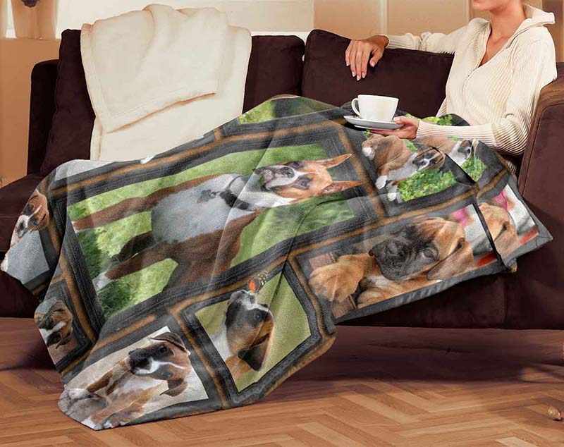 Dog Cute Boxer-TT2511