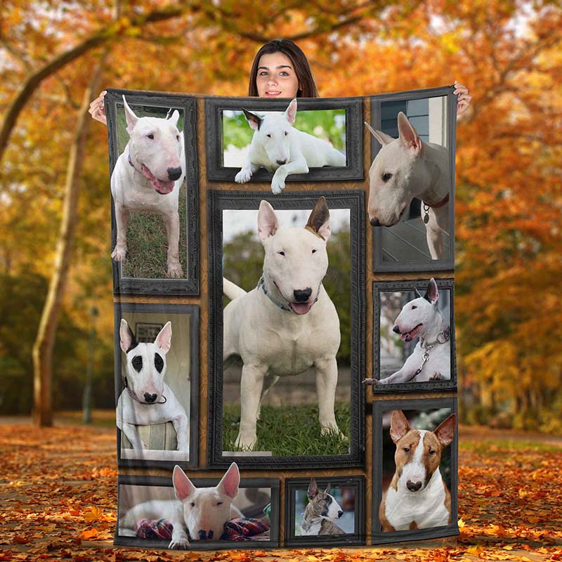 Dog Cute Bull Terrier-TT2511