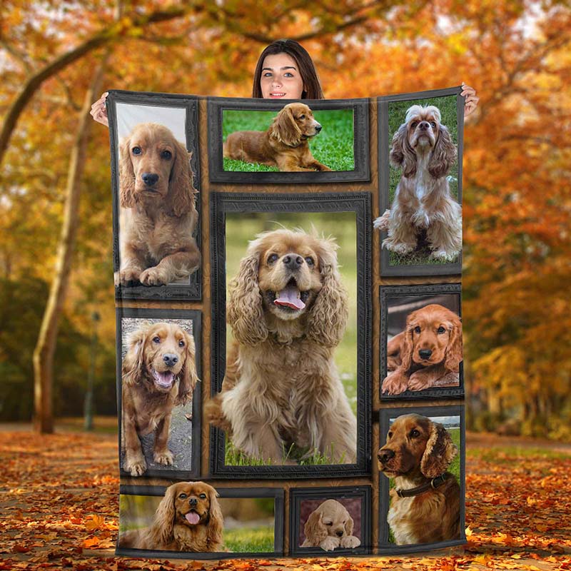 Dog Cute Cocker Spaniel-TT2511
