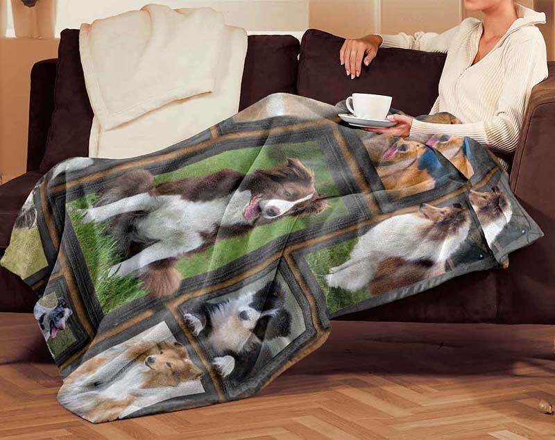 Dog Cute Collie-TT2511