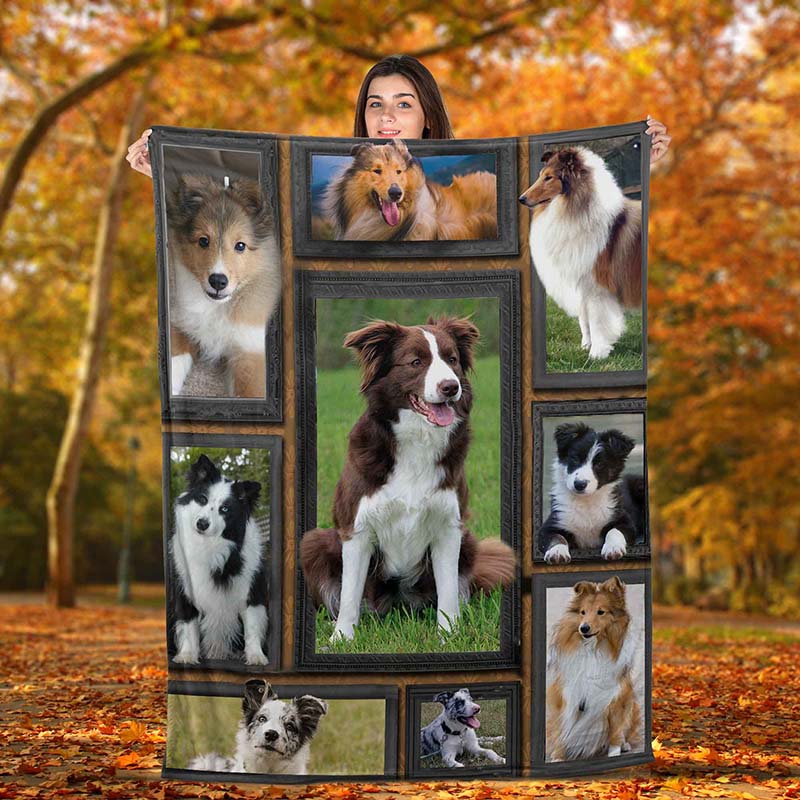 Dog Cute Collie-TT2511