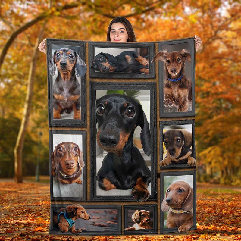 Dog Cute Dachshund-TT2611