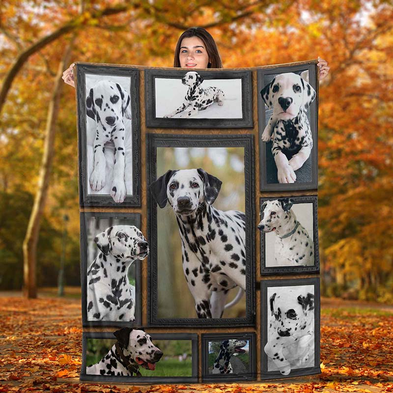 Dog Cute Dalmatian-TT2611