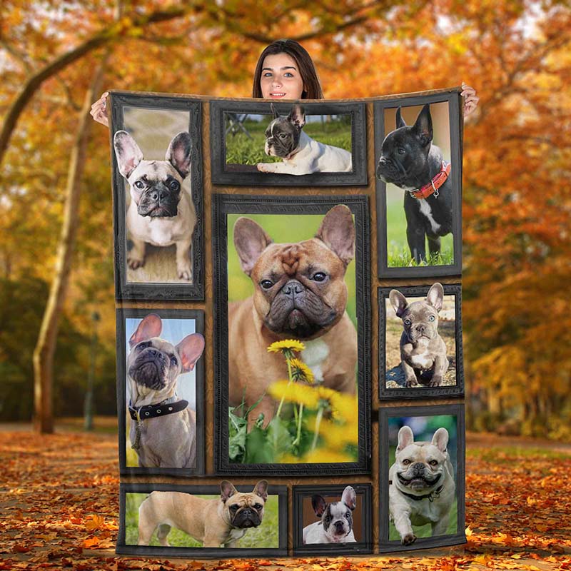 Dog Cute French Bulldog-TT2611