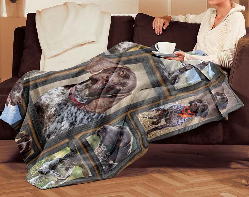 Dog Cute German Shorthaired Pointer-TT2611