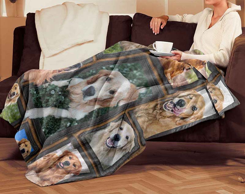 Dog Cute Golden Retriever-TT2711