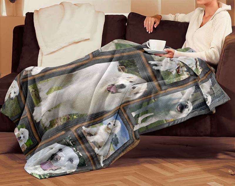 Dog Cute Great Pyrenees-TT2711