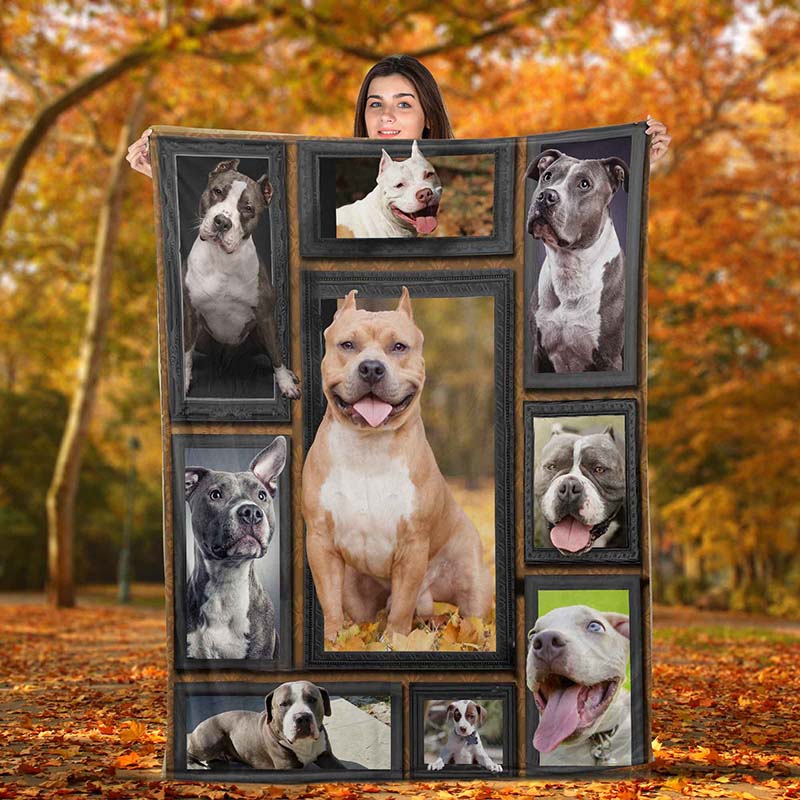 Dog Cute Pitbull-TT0112