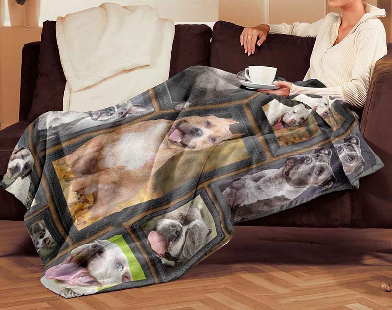 Dog Cute Pitbull-TT0112