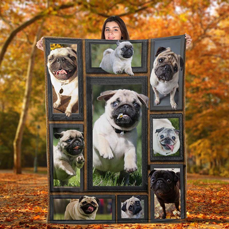 Dog Cute Pug-TT0112