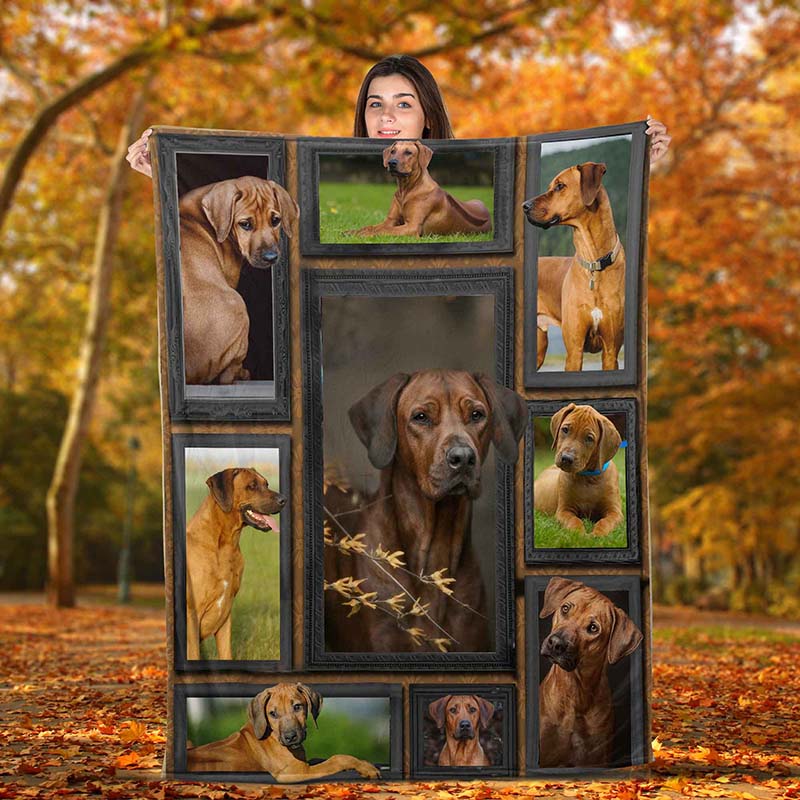 Dog Cute Rhodesian Ridgeback-TT0112