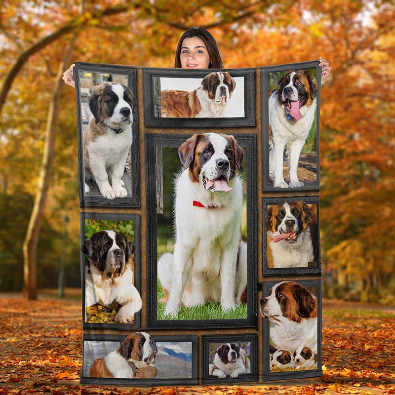 Dog Cute Saint Bernard-TT0312
