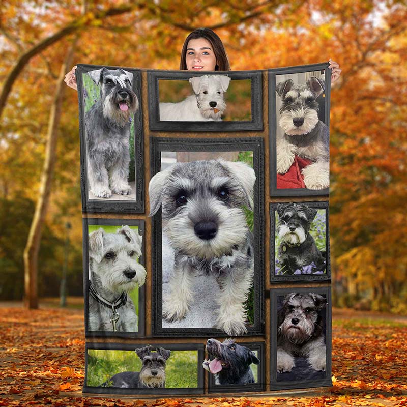 Dog Cute Schnauzer-TT0112