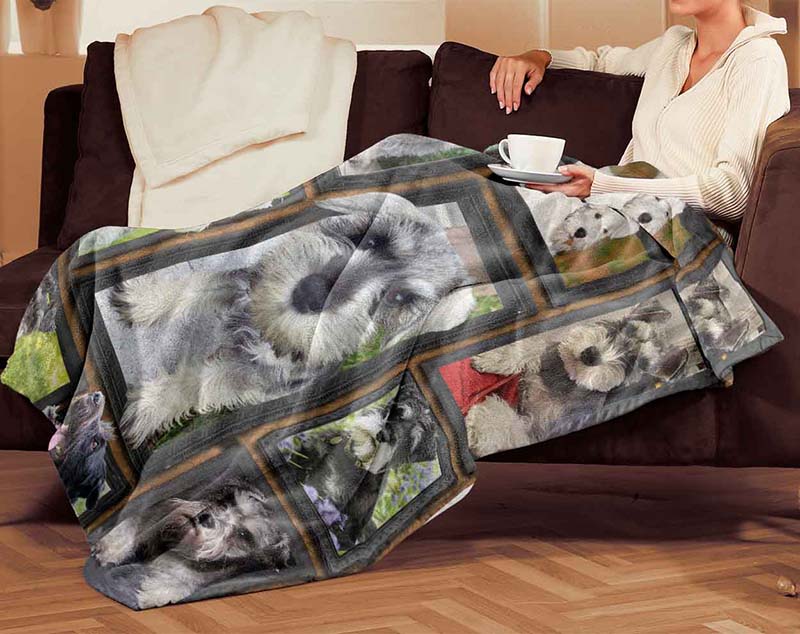 Dog Cute Schnauzer-TT0112