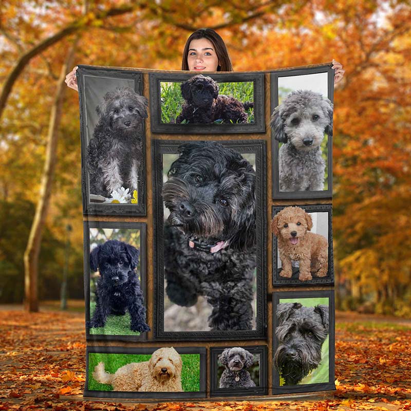 Dog Cute Schnoodle-TT0112