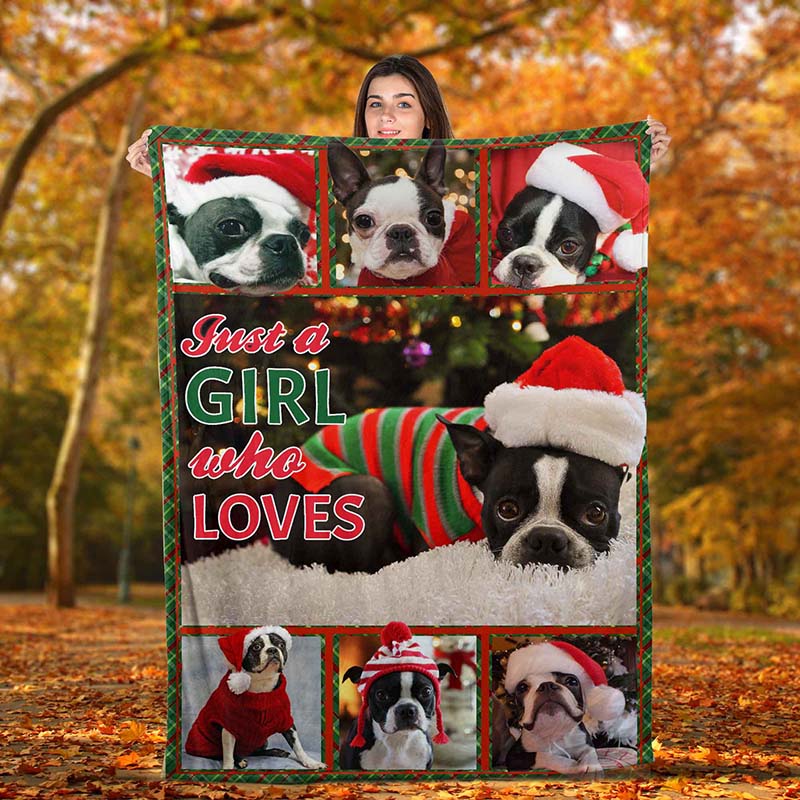 Just A Girl Who Loves Dog, Christmas Boston Terrier Dog-TT0612