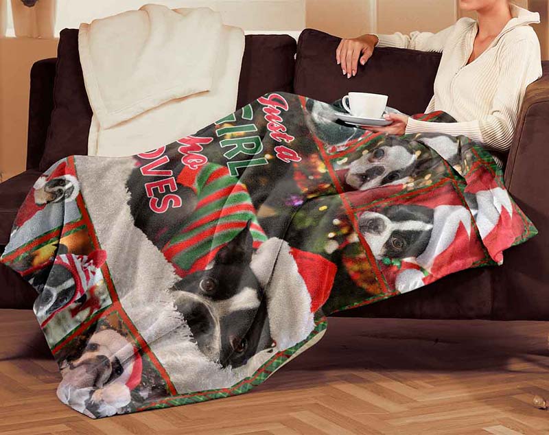 Just A Girl Who Loves Dog, Christmas Boston Terrier Dog-TT0612