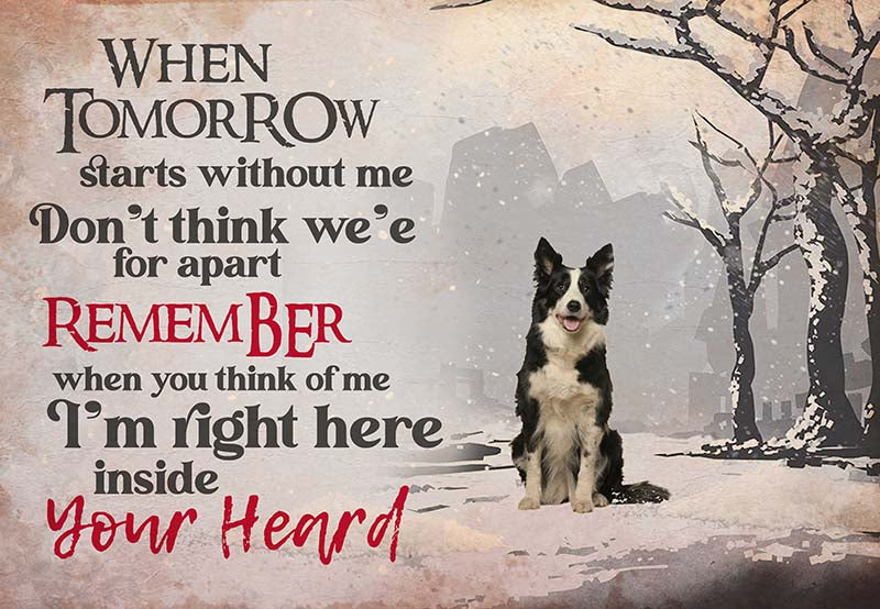 Border Collie - I'M Right Here Inside Your Heart Ver2-MH2109