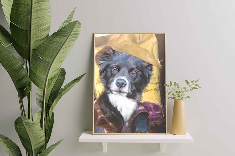 Border Collie Dog Plumber-TT1012