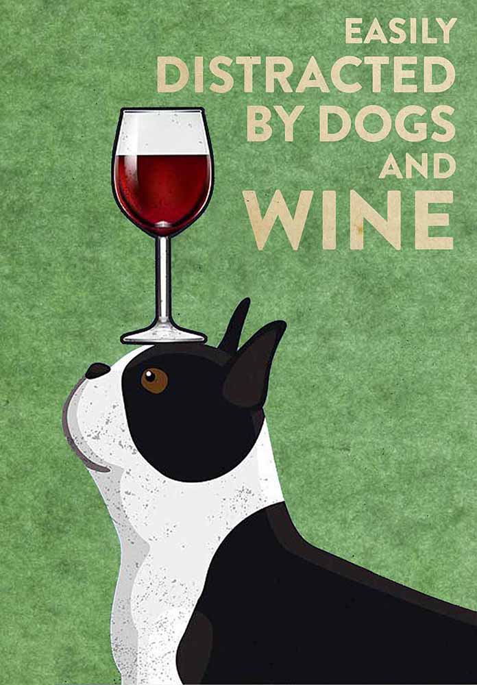 Boston Terrier Easily Distracted By Dogs And Wine-TT2708
