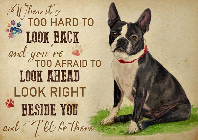 Boston Terrier When It's Too Hard to Look Back-TT2009
