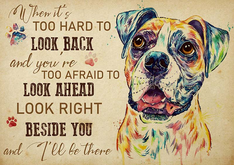 Boxer When It's Too Hard to Look Back-TT2009