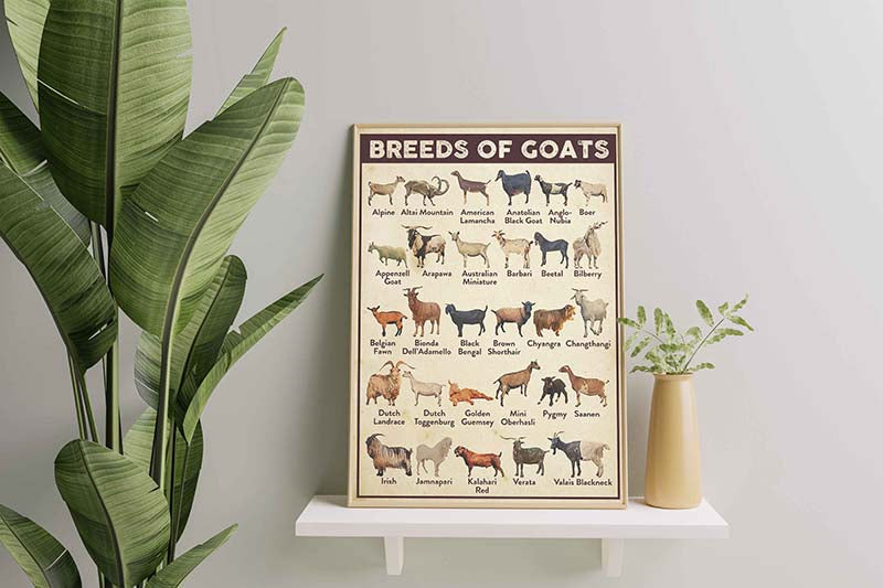 Skitongifts Wall Decoration, Home Decor, Decoration Room Breeds Of Goats-TT2809