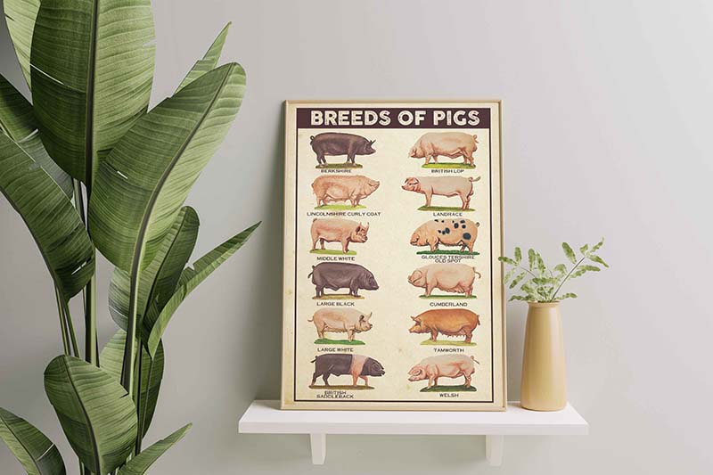 Skitongifts Wall Decoration, Home Decor, Decoration Room Breeds Of Pigs-TT2509