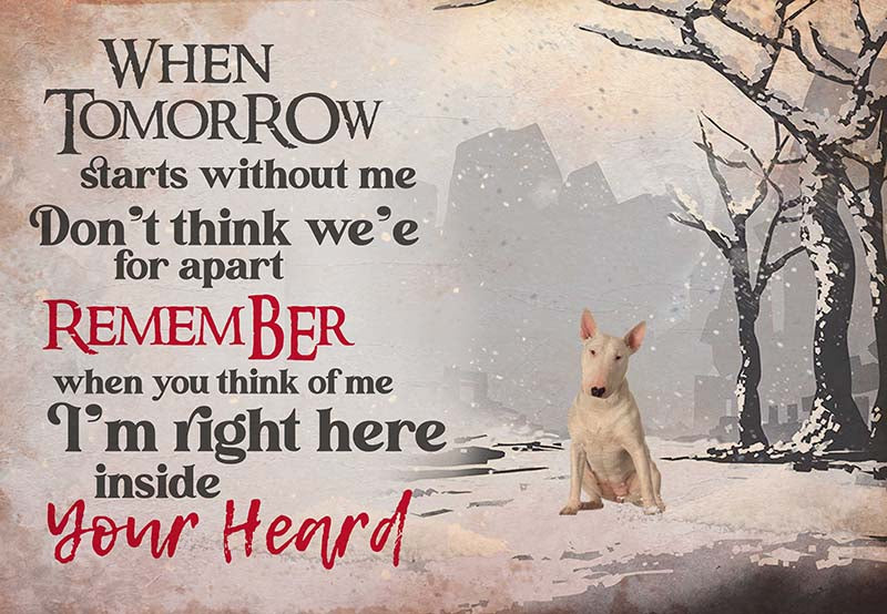 Bull Terrier - I'M Right Here Inside Your Heart Ver2-MH2109