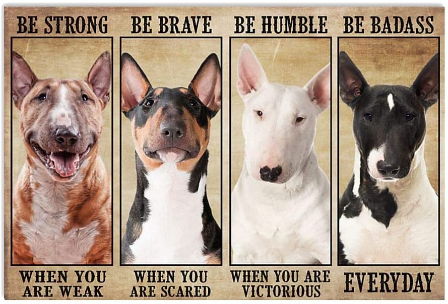 Bull Terrier Dog Be Strong When You Are Weak Be Brave Be Humble Be Badass Everyday