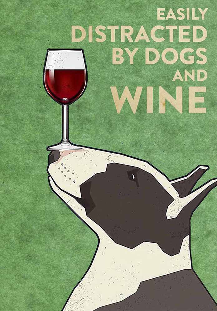 Bull Terrier Easily Distracted By Dogs And Wine-TT2708