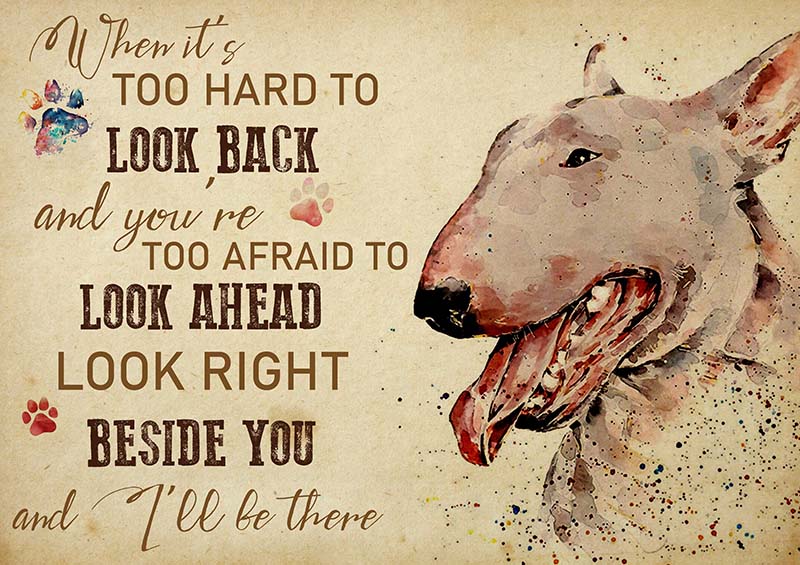Bull Terrier When It's Too Hard to Look Back-TT2009