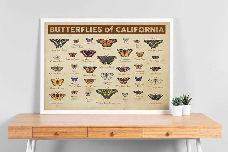 Skitongifts Wall Decoration, Home Decor, Decoration Room Butterflies Of California-TT2509