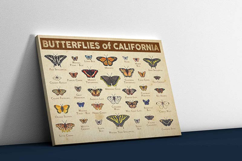 Skitongifts Wall Decoration, Home Decor, Decoration Room Butterflies Of California-TT2509