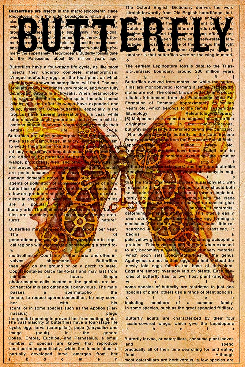 Skitongift Wall Decoration, Home Decor, Decoration Room Butterfly Knowledge Vintage-TTK2008