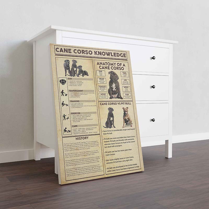 Skitongifts Wall Decoration, Home Decor, Decoration Room Cane Corso Knowledge-TT3009