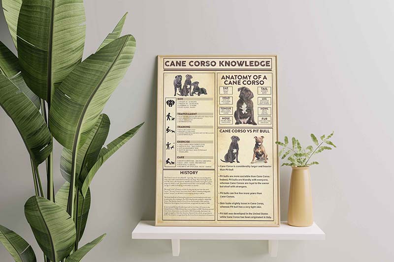Skitongifts Wall Decoration, Home Decor, Decoration Room Cane Corso Knowledge-TT3009