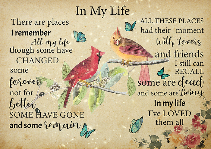 Cardinal Birds In My Life All These Places Had Their Moment With Lovers And Friends TT237