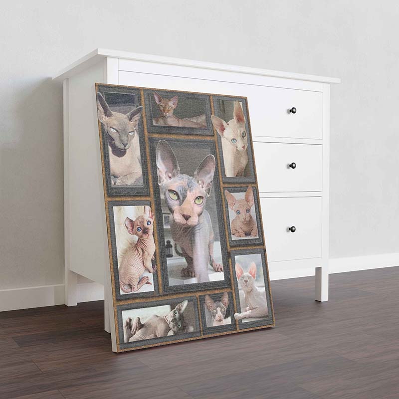 Skitongifts Wall Decoration, Home Decor, Decoration Room Cat Cute Sphynx-TT0812