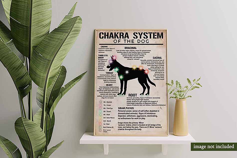 Chakra System Of The Dog-MH2708